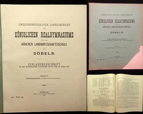 32.Jahresbericht des Kgl. Realgymnasiums zu Döbeln Einladungsschrift 1901 js