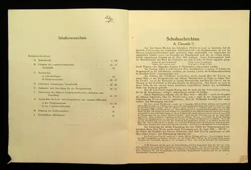 46.Jahresbericht des Kgl. Realgymnasiums u. Landwirtschaftsschule zu Döbeln 1915