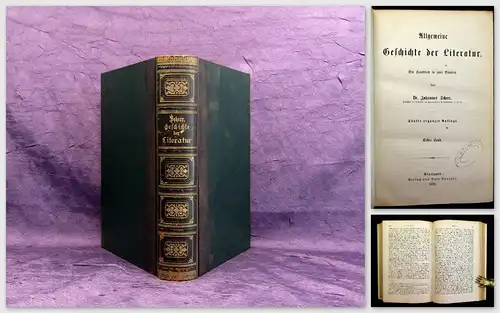 Scherr Allgemeine Geschichte der Literatur 1 Handbuch in 2 Bänden 1875 mb