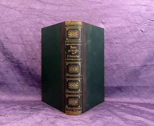 Scherr Allgemeine Geschichte der Literatur 1 Handbuch in 2 Bänden 1875 mb