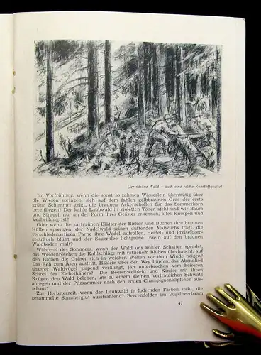 Schierge Unser Geising Aus Heimatliebe geschrieben um 1955 Ortskunde mb