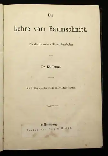 Lucas Die Lehre vom Baumschnitt Für die deutschen Gärten 1866 Botanik  js