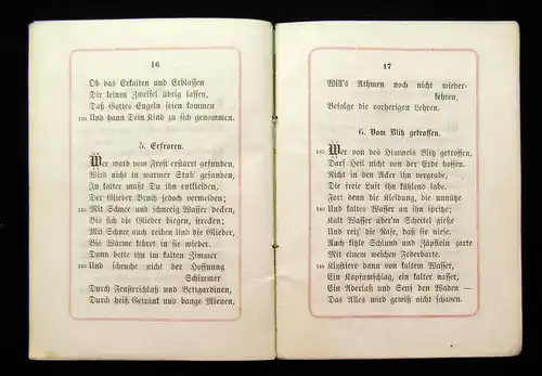 Bücheler Summa Medicinae ein practisches Nothbüchlein in 716 Reimen 1872 mb