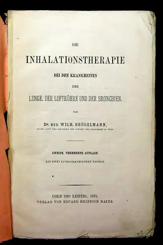 Brügelmann Die Inhalationstherapie bei Krankheiten d. Lunge u.a. 1876 Medizin mb