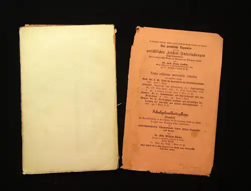 Brügelmann Die Inhalationstherapie bei Krankheiten d. Lunge u.a. 1876 Medizin mb