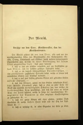 Bock Bau,Leben und Pflege des menschlichen Körpers in Wort und Bild 1884 js