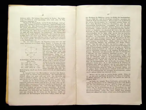 Gräfe Zwei fötal-rachitische Becken Inaugural-Dissertation 1875 Wissen Studium m