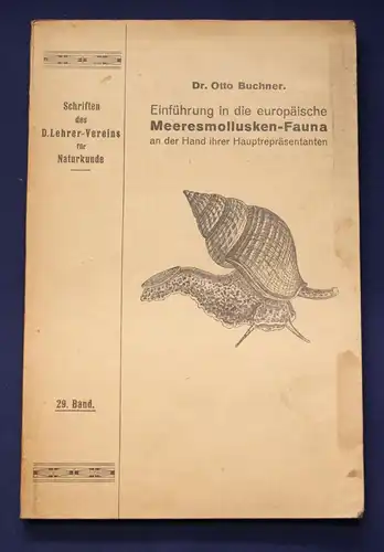 Buchner Einführung in die europäische Meeresmollusken- Fauna 1913 26 Tafeln js