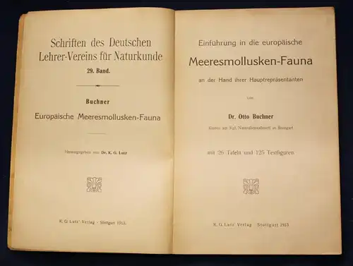 Buchner Einführung in die europäische Meeresmollusken- Fauna 1913 26 Tafeln js