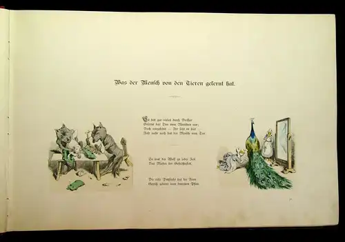 A. Oberländer- Bilderbuch ca. 1900 Mit 113 farb. Abbildungen Braun u.Schneider j