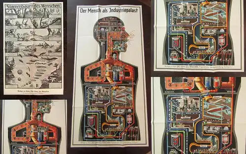 Or. Poster Fritz Kahn "Der Mensch als Industriepalast"+ Beilagen komplett 1926