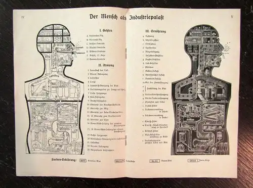 Or. Poster Fritz Kahn "Der Mensch als Industriepalast"+ Beilagen komplett 1926