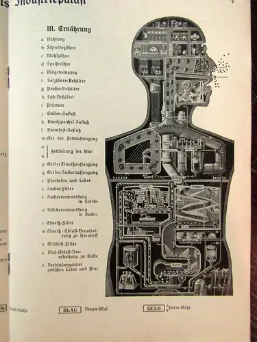 Or. Poster Fritz Kahn "Der Mensch als Industriepalast"+ Beilagen komplett 1926