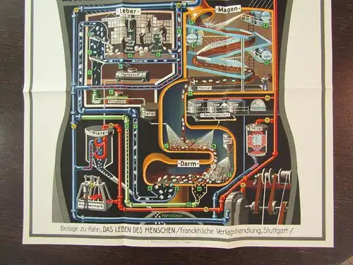 Or. Poster Fritz Kahn "Der Mensch als Industriepalast"+ Beilagen komplett 1926