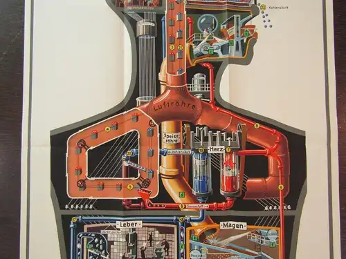 Or. Poster Fritz Kahn "Der Mensch als Industriepalast"+ Beilagen komplett 1926