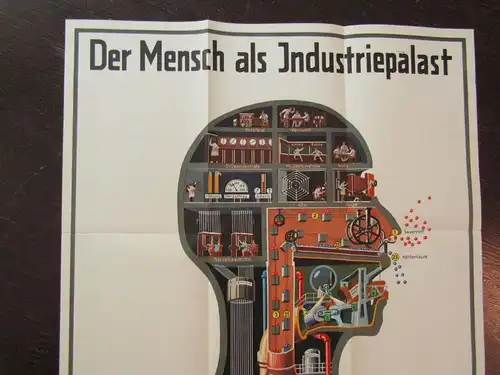 Or. Poster Fritz Kahn "Der Mensch als Industriepalast"+ Beilagen komplett 1926