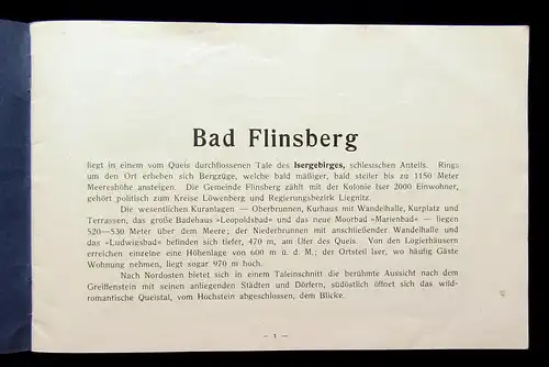 Bad Flinsberg um 1910 mit zahlreichen Abbildungen Städtefüher Guide Ortskunde mb