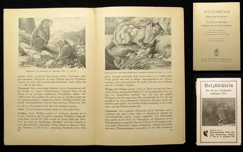 Klumpp Pelzbüchlein Pelze und Pelztiere Für den Pelzhandel wichtigen Tiere 1930