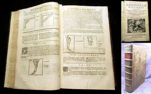 Aristoteles 1619 Aritotelis Historia de Animalibus. [...] Accedit Fragmentum..am