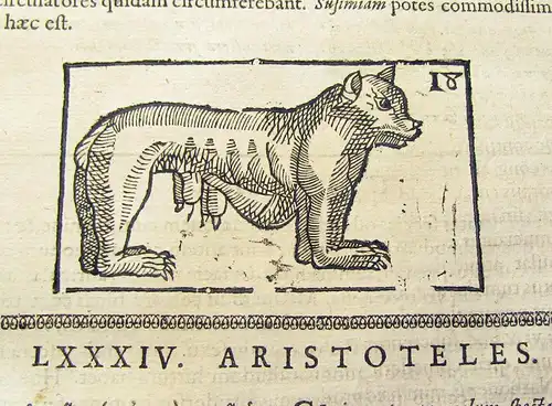 Aristoteles 1619 Aritotelis Historia de Animalibus. [...] Accedit Fragmentum..am