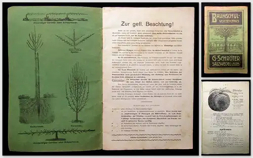 Schröter Baumschul-Verzeichnis 51. Jhg. um 1900 Selten Wissen Garten Katalog mb