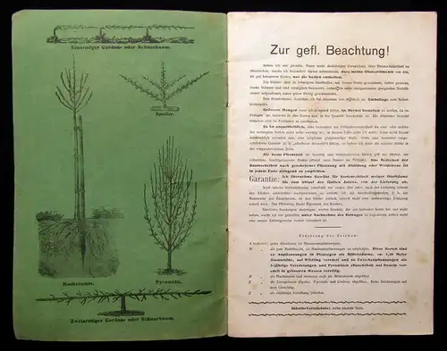 Schröter Baumschul-Verzeichnis 51. Jhg. um 1900 Selten Wissen Garten Katalog mb