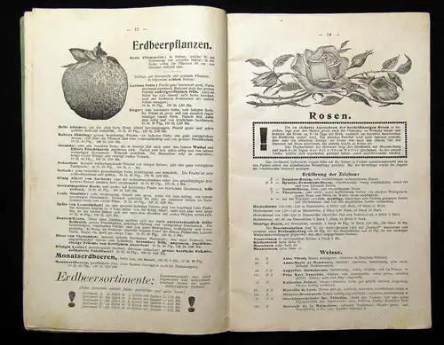 Schröter Baumschul-Verzeichnis 51. Jhg. um 1900 Selten Wissen Garten Katalog mb