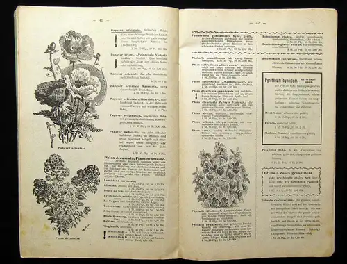 Schröter Baumschul-Verzeichnis 51. Jhg. um 1900 Selten Wissen Garten Katalog mb