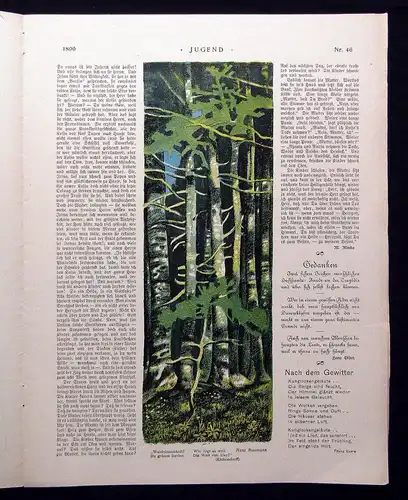Jugend Zeitschrift Wochenschrift Nr.46  1899 Hirth Verlag IV. Jahrg. Jugendstil