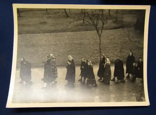 15 Fotographien um 1950 Sächsische Schweiz Glockenweihe in Rathewalde selten js