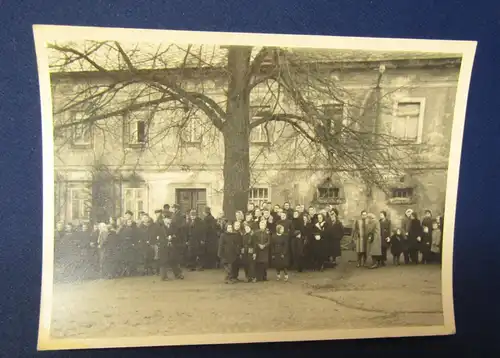 15 Fotographien um 1950 Sächsische Schweiz Glockenweihe in Rathewalde selten js