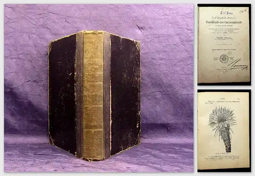 Rümpler Förster Handbuch Cacteenkunde in ihrem ganzen Umfange 1886 2.Bd apart mb