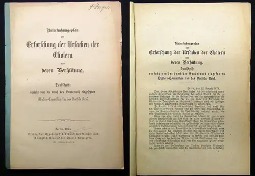 Untersuchungsplan der Erforschung der Ursachen der Cholera Or.Ausg. selten 1873