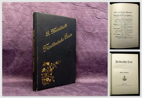Meinhardt Norddeutsche Leute Novellen 1896 Selten Literatur Belletristik