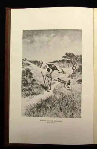 Berdrow Afrikas Herrscher und Volkshelden EA 1908 Lebensbilder aus d. Heroenzeit