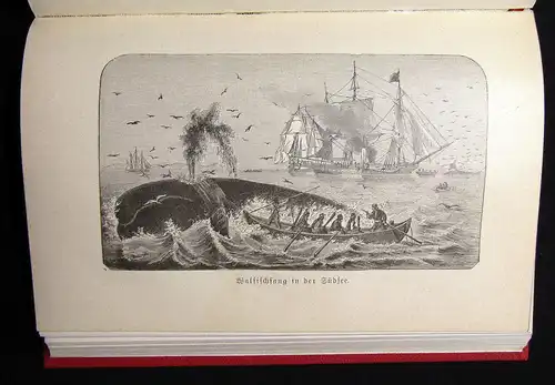 Beck Reise um die Welt Fahrten und Abenteuer 1907 mit 2 Illustrationen