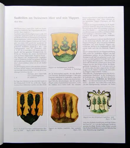 Hackenbuchner Chronik Saalfelden 2 Bde. 1989 Österreich Ortskunde Geographie