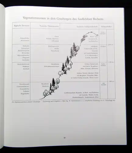 Hackenbuchner Chronik Saalfelden 2 Bde. 1989 Österreich Ortskunde Geographie