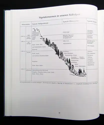 Hackenbuchner Chronik Saalfelden 2 Bde. 1989 Österreich Ortskunde Geographie