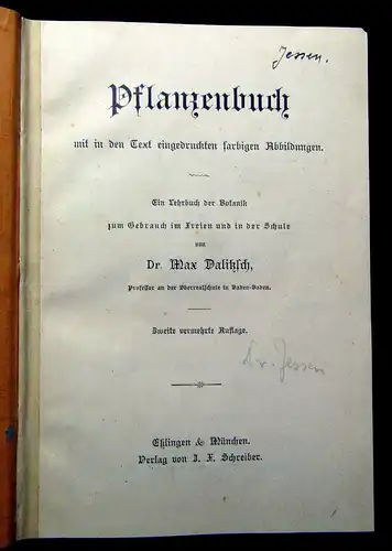 Dalitzsch Pflanzenbuch 1900 2.Auflage mit zahlr. chromotithogr. Abb. im Text