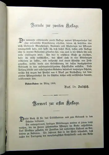 Dalitzsch Pflanzenbuch 1900 2.Auflage mit zahlr. chromotithogr. Abb. im Text