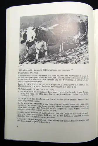 Kleine Ortsgeschichte Saupsdorf (bei Sebnitz) um 1980 Ortskunde Geschichte