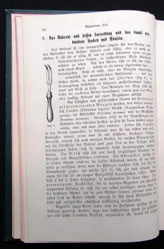 Wesselhöft Der Garten des Bürgers und des Landmannes 1884 Botanik EA