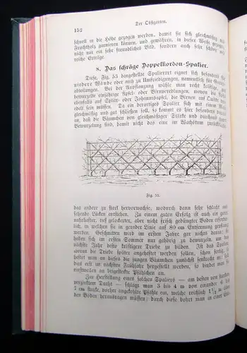 Wesselhöft Der Garten des Bürgers und des Landmannes 1884 Botanik EA