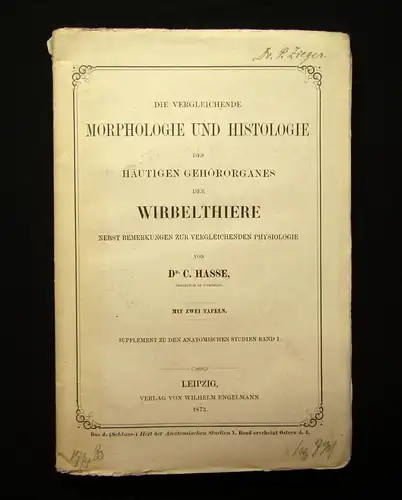 Hasse Morphologie u Histologie des häutigen Gehörorganes d. Wirbelthiere 1873 mb