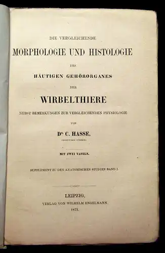 Hasse Morphologie u Histologie des häutigen Gehörorganes d. Wirbelthiere 1873 mb