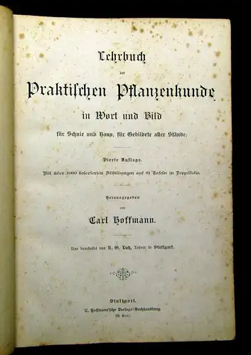 Hoffmann Lehrbuch praktische Pflanzenkunde in Wort u Bild 1889 über 1000 Abb.