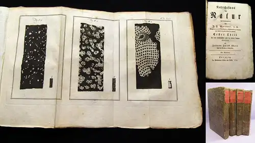 Katechismus der Natur, Martinet, 1779, zahlreiche Kupfertafeln, Aufklärung