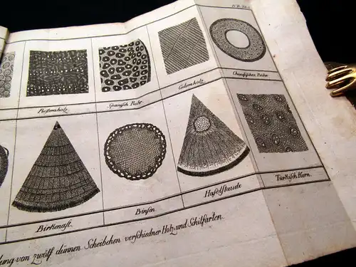 Katechismus der Natur, Martinet, 1779, zahlreiche Kupfertafeln, Aufklärung