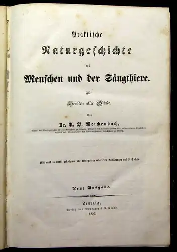 Reichenbach Praktische Naturgeschichte der Menschen und Säugethiere 1855